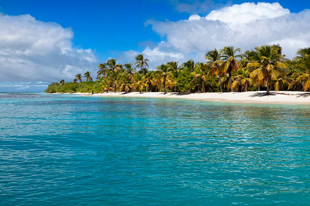 Pristine tropical turquoise water island beach with white sand and coconut trees. Relaxing images of travel and leisure related vacation themes for vacations in the Caribbean. Image taken at Morrocoy National Park, Venezuela. Morrocoy is a coastline and a group of small islands and cays located at Falcon State in Venezuela. A very popular destination for leisure, diving, kite surfing and all kind of water activities. Morrocoy and the beauty of the turquoise coastal beaches of Venezuela are almost indistinguishable from those of the Bahamas, French Polynesia, Malau, Hawaii, Cancun, Costa Rica, Florida, Maldives, Cuba, Fiji, Bora Bora,  Puerto Rico, Honduras, or other tropical vacation travel destinations.