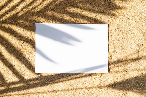 Paper sheet  with copy space on sand texture sun beach and palm branch shadow