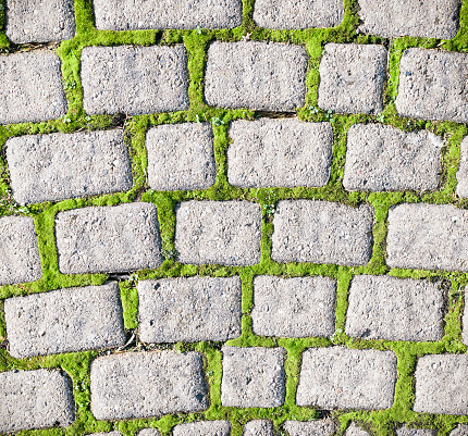 Photographed from directly above, a pattern of small cobblestones surrounded by moss growth.