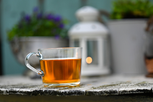 Glass cup of herbal tea with plants and flowers in the background