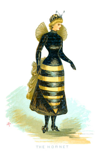 Hornet Fancu Dress Costume Vintage colour engraving from 1882 of a victorian fancy dress costume called the Hornet bee costume stock illustrations