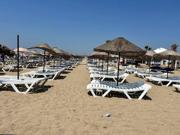 istock empty beach and beach umbrellas on the beach 1548898501
