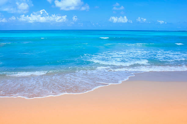 Turquoise waters of a golden tropical sand beach with gentle waves