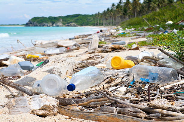ocean dumping-insgesamt verschmutzung an einem tropischen strand - plastikmaterial stock-fotos und bilder