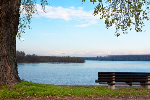 Bench under the tree in park. Beautiful river view