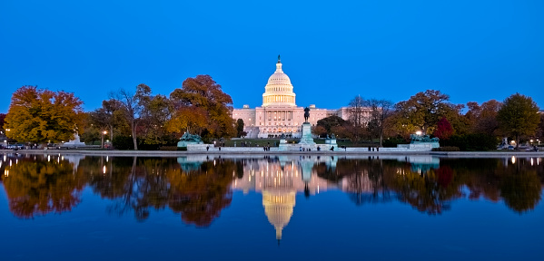 The west face of the US Capitol at dawn reflecting in the Capitol Reflecting Pool. Autumn foliage.