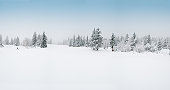 Winter Landscape with Snow and Trees