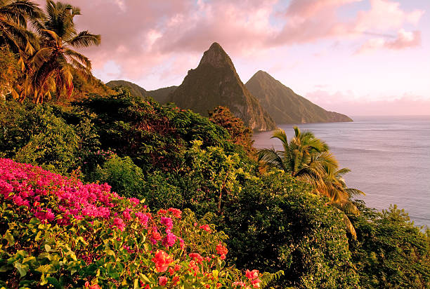 St. Lucia's Twin Pitons at Sunset stock photo