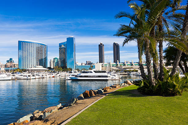 A scenic view of the San Diego skyline in California The skyline of San Diego reflects in the Embarcadero Marina with the palm trees framing the scene. marina california stock pictures, royalty-free photos & images