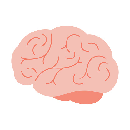 Brain or mind side view line art color vector icon for medical