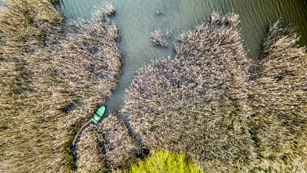 istock Lake shore view from the drone 1548942148