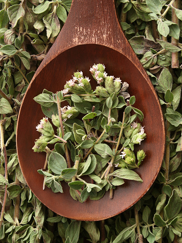 Top view of wooden spoon full of fresh oregano leaves