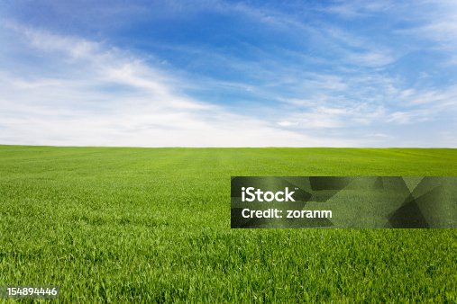 istock Green meadow field under a blue sky with clouds 154894446