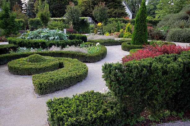 istock Formal Knot Garden 154894660