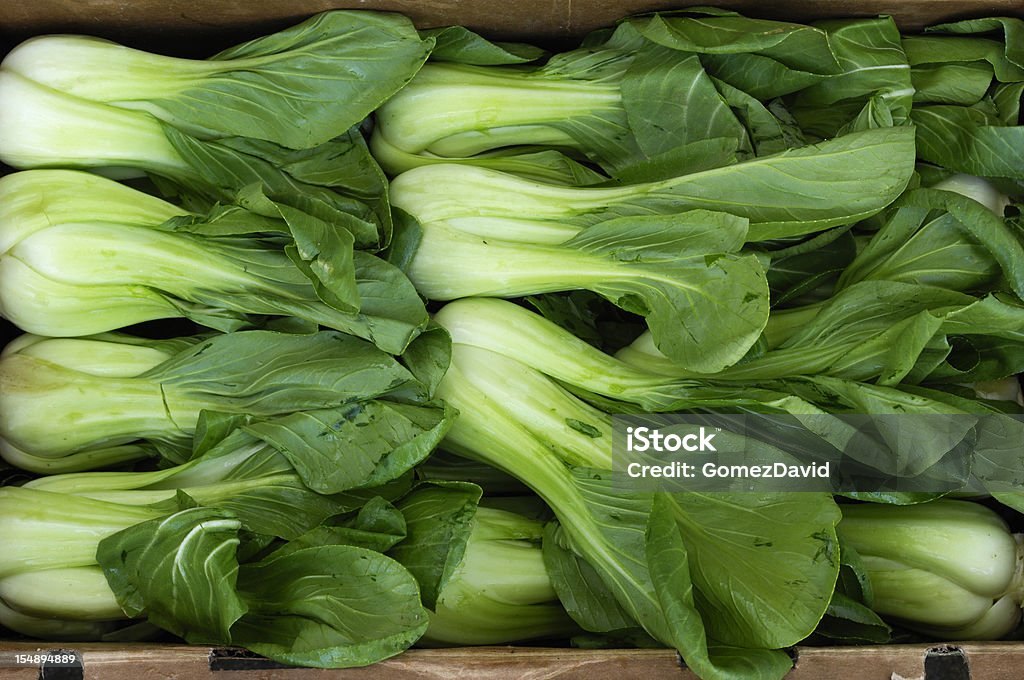 Vert bio, verdoyant de bok choy Mettez-vous en ligne. - Photo de Chou chinois libre de droits