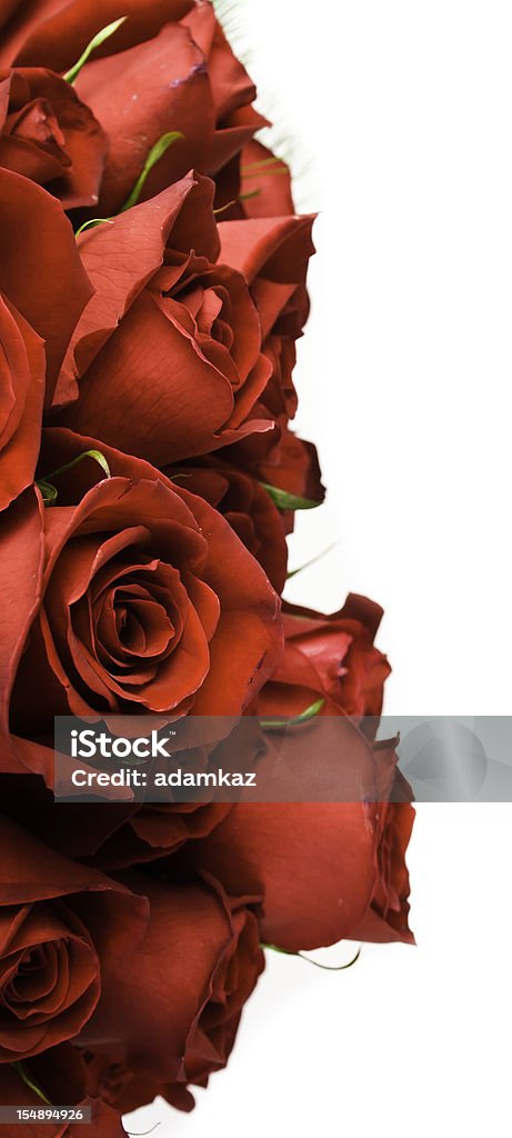 Ramo de rosas - Foto de stock de Arreglo libre de derechos
