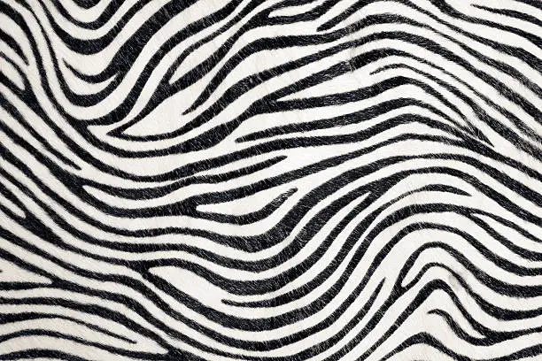 Close-up image of a zebra pattern. It is part of a series of hundreds of extremely sophisticated patterns and textures, photographed in the studio. All my images have been processed in 16 bits and transfer down to 8 before uploading. They have been professionally retouched to achieve the best image quality.