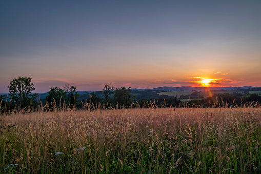 Color dark meadow with sunset color view of summer nice sun