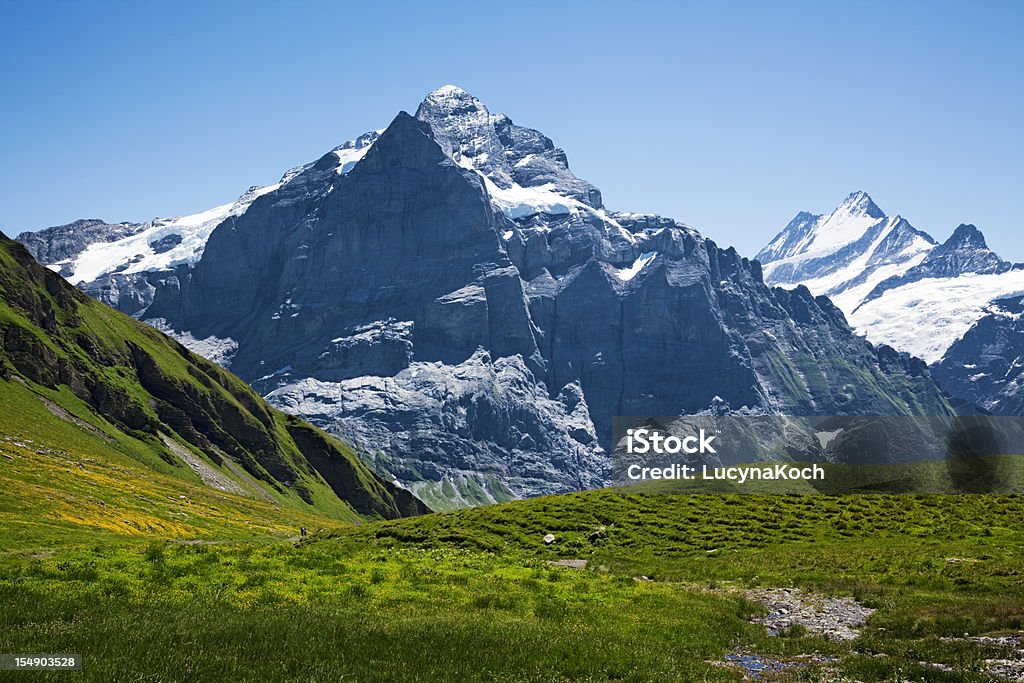 Wetterhorn Idyllic mountain panorama with Wetterhorn and Schreckhoerner, Grindelwald, Switzerland. Beauty Stock Photo