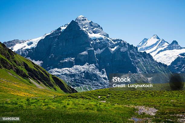 Wetterhorn - zdjęcia stockowe i więcej obrazów Alpy - Alpy, Alpy Szwajcarskie, Cisza