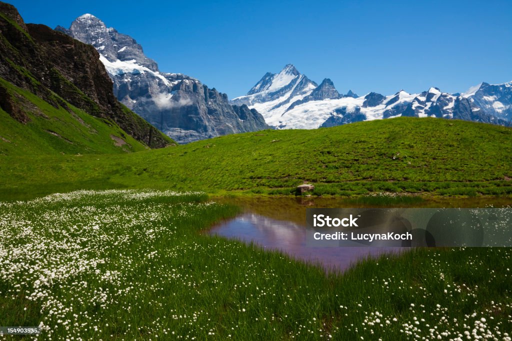 Kleinen Teich - Lizenzfrei Alpen Stock-Foto