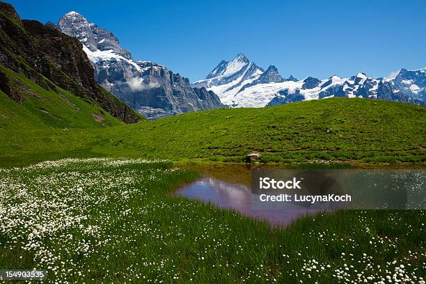 Kleinen Teich Stockfoto und mehr Bilder von Alpen - Alpen, Berg, Berggipfel
