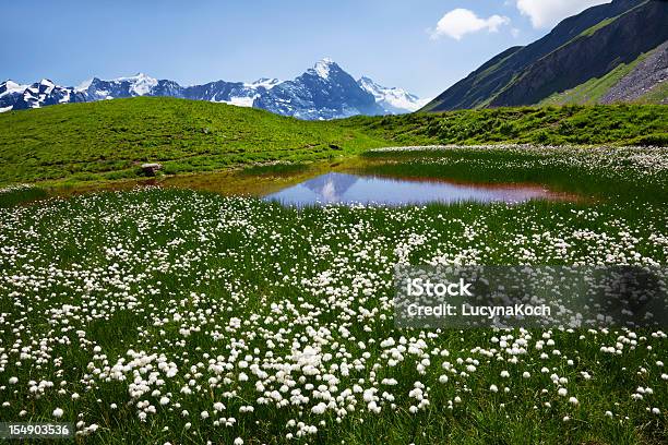 Sommerwiese Stockfoto und mehr Bilder von Alpen - Alpen, Berg, Berggipfel