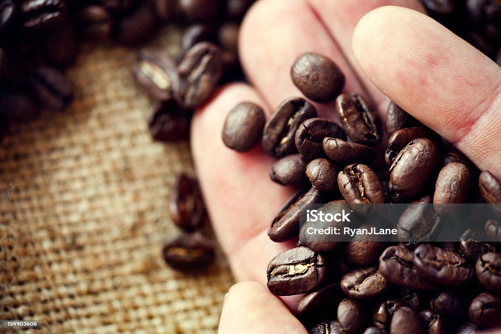 Colheita de Mãos segurando café sobre Aniagem de Cânhamo - Foto de stock de Feijão royalty-free