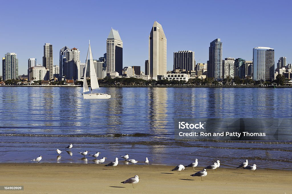 San Diego in California with boats City Skyline Of San Diego With Sailboat and Seagulls, California San Diego Stock Photo