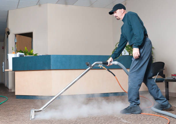 Professional detergente per tappetini-uomo vapore per la pulizia - foto stock