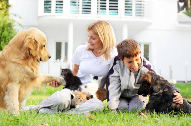 mãe, filho e animais de estimação. - dog tranquil scene pets animals and pets imagens e fotografias de stock