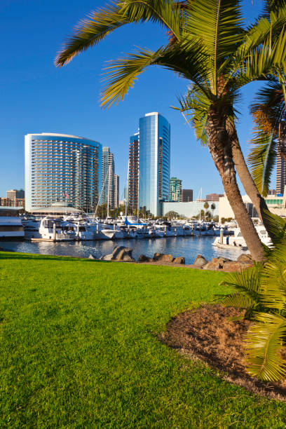 istock The San Diego Skyline in California 154904842