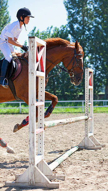 istock jockey and horse jumping 154905554