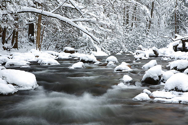 schneebedeckten appalachen gebirgsbach - winter stream river snowing stock-fotos und bilder