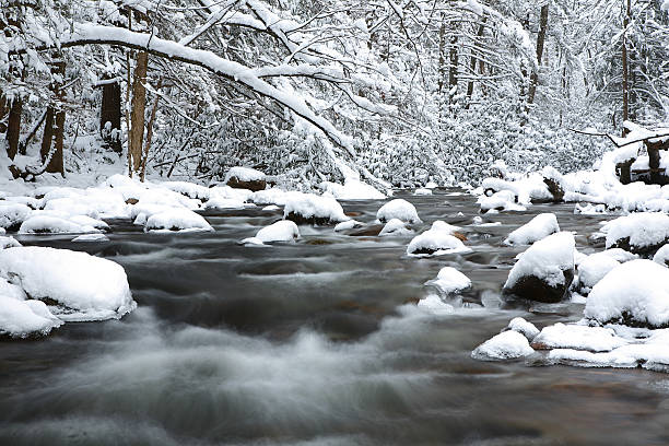 Snowy Appalachian Mountain Stream Beautiful morning scene in Appalachia.  The area received about a foot of snow the night before.  The scene is totally undisturbed by footprints or people. gatlinburg great smoky mountains national park north america tennessee stock pictures, royalty-free photos & images