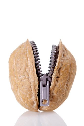 Walnut with zip isolated on white