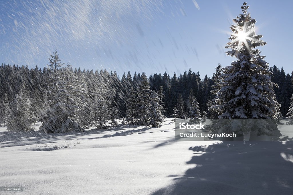 Schöne winter Landschaft - Lizenzfrei Kanton Jura Stock-Foto