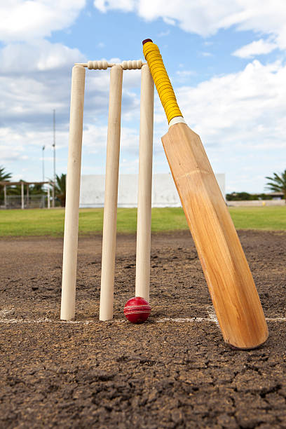 archetti di cricket, palla e mazza - pioli foto e immagini stock