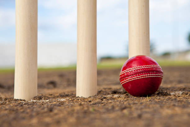istock Cricket ball next to wickets on pitch 154908273