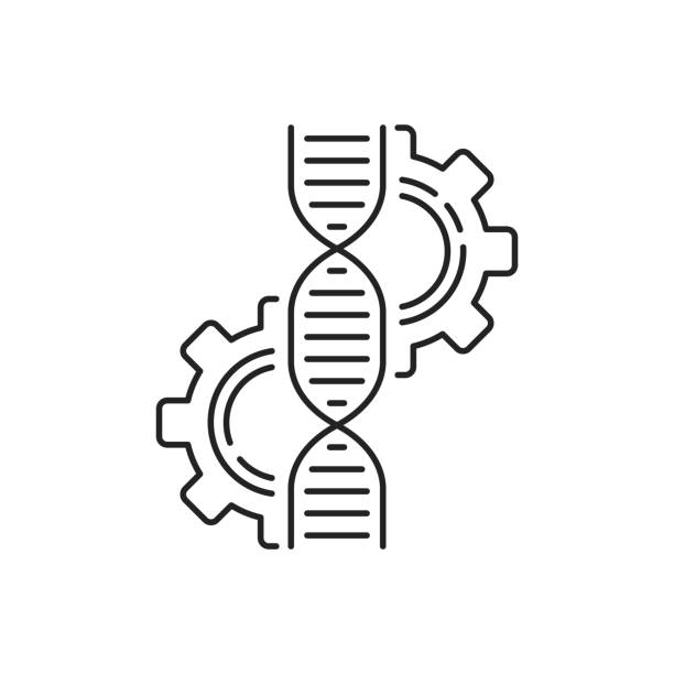 thin line gene and gear like dna editing icon thin line gene and gear like dna editing icon. concept of error correction or molecule cloning or sequencing. flat linear trend modern graphic stroke design isolated on white background genetics icon stock illustrations