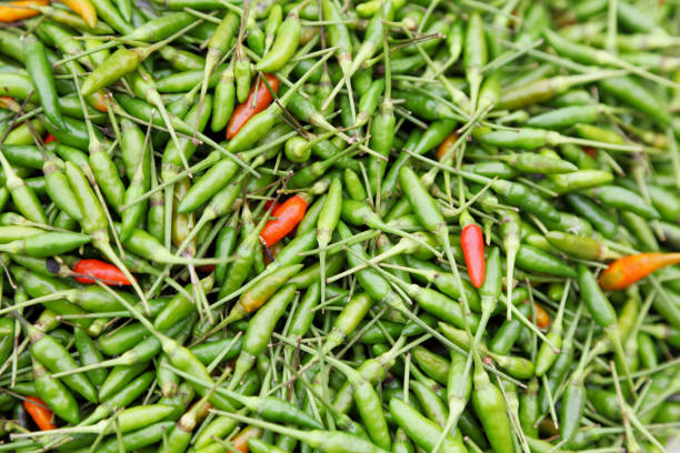 istock green and red hot chili peppers 154908815
