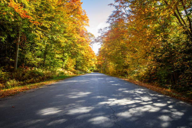 Stunning autumn colours along a deserted country road on a sunny day Deserted straight stretch of a country road through a forest at the peak of fall foliage on a sunny day. Ontario, Canada. empty road with trees stock pictures, royalty-free photos & images