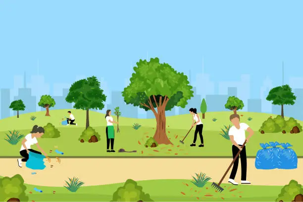 Vector illustration of environmental activists pick up trash in the park, sweep up fallen leaves and plant trees.