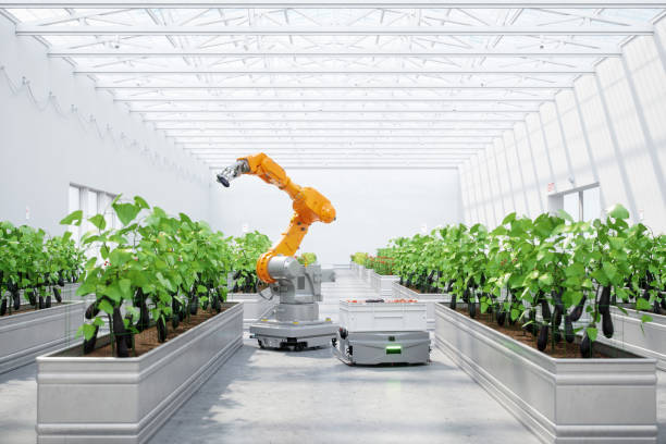 automated smart farming facility using robotics - crop farm nature man made imagens e fotografias de stock