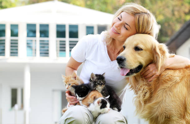 美しい少女をお楽しみいただける屋外にペットをご同伴いただけます。 - golden retriever retriever dog smiling ストックフォトと画像