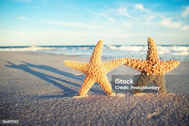 Dwa Romantyczne Rozgwiazda Gospodarstwa Ręce Na Tropikalnej Plaży O Zachodzie Słońca - zdjęcia stockowe i więcej obrazów Bez ludzi
