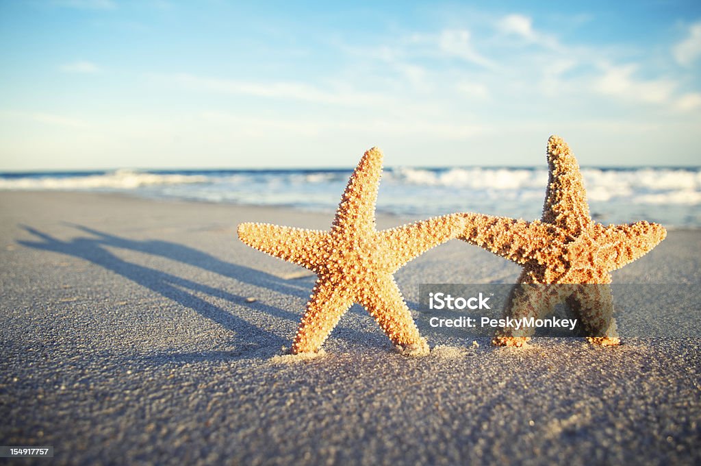 Две романтические Морская звезда Держаться за руки на тропический Пляж заката - Стоковые фото Без людей роялти-фри