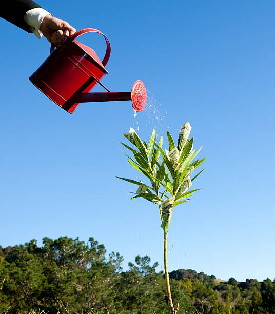 deliciosos árbol de dinero - money doesnt grow on trees money tree wealth paper currency fotografías e imágenes de stock