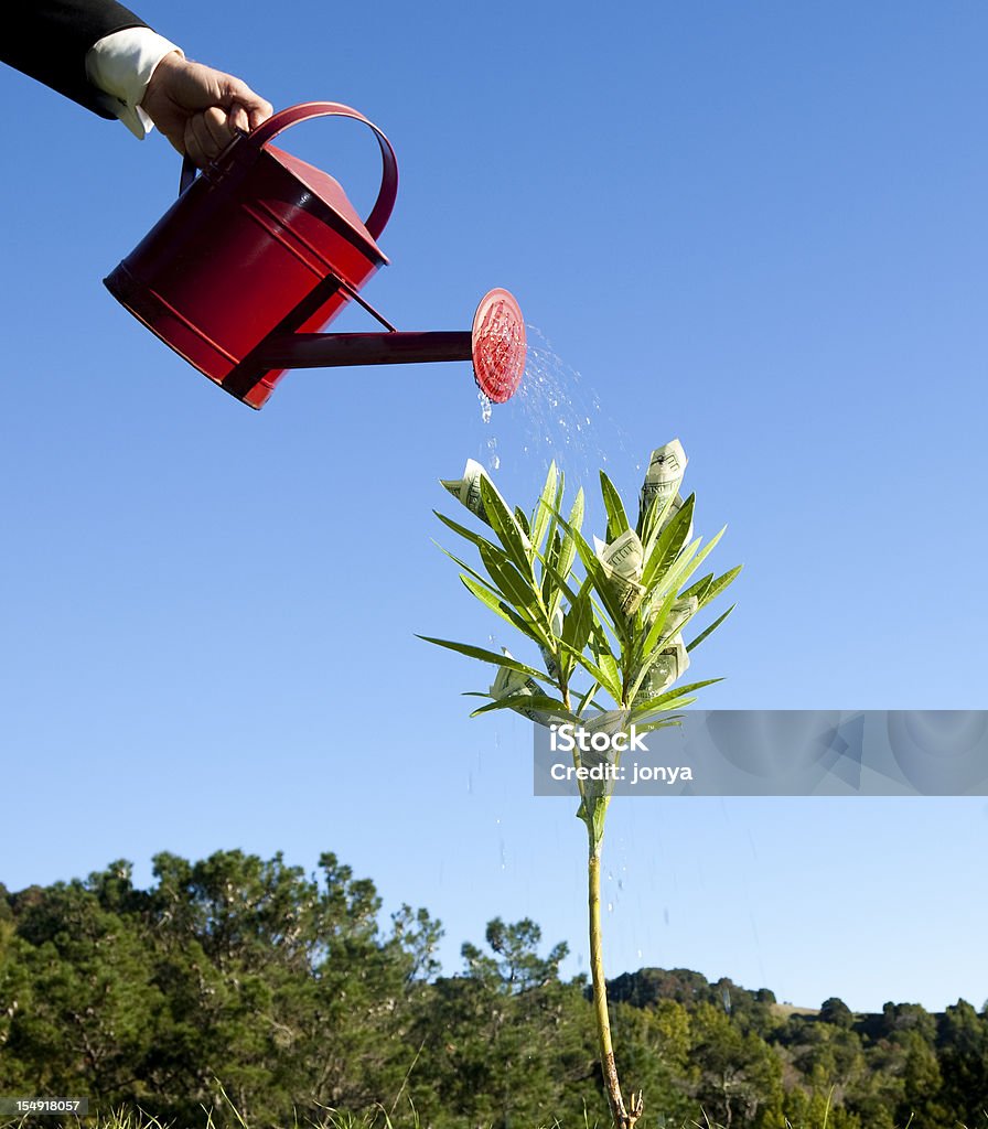 watering money tree money plant being watered with a sprinkling can with blue sky in background Money Doesn't Grow On Trees Stock Photo