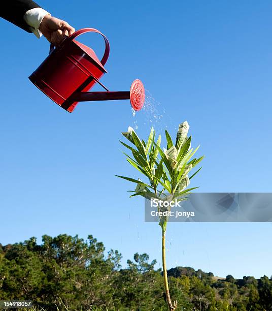 Watering Money Tree Stock Photo - Download Image Now - Money Doesn't Grow On Trees, Tree, Watering